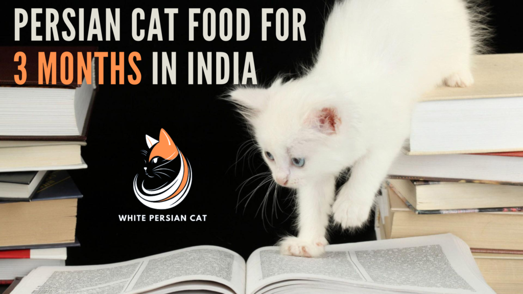 Persian cat food for 3 months in India