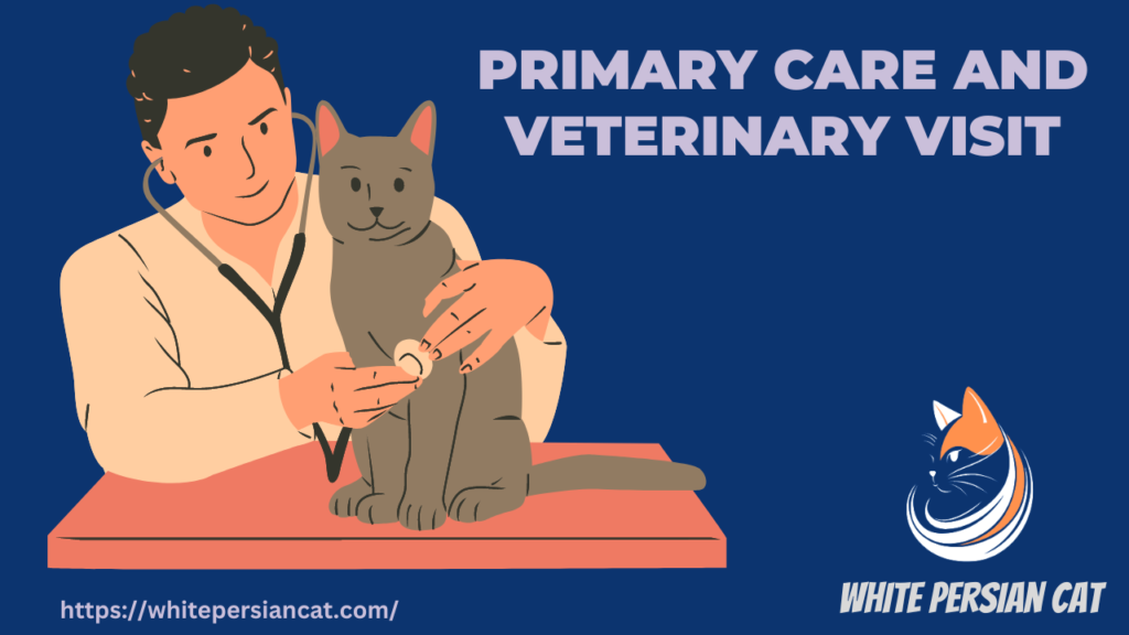 Primary Care and Veterinary Visit
