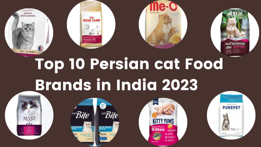 Top 10 Persian cat Food Brands in India 2023