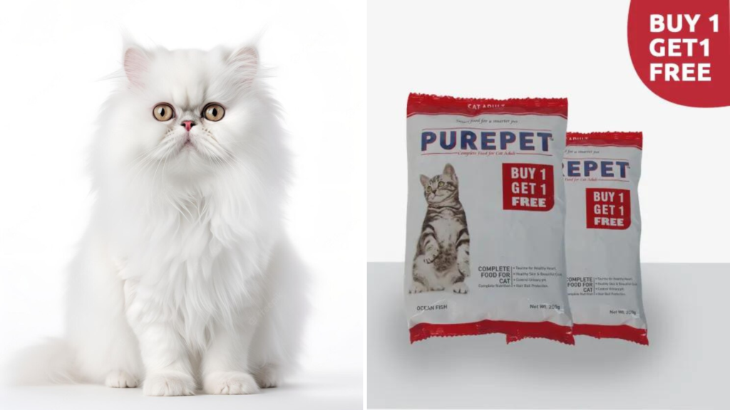 How to Transition to Purepet Ocean Fish Cat Food
