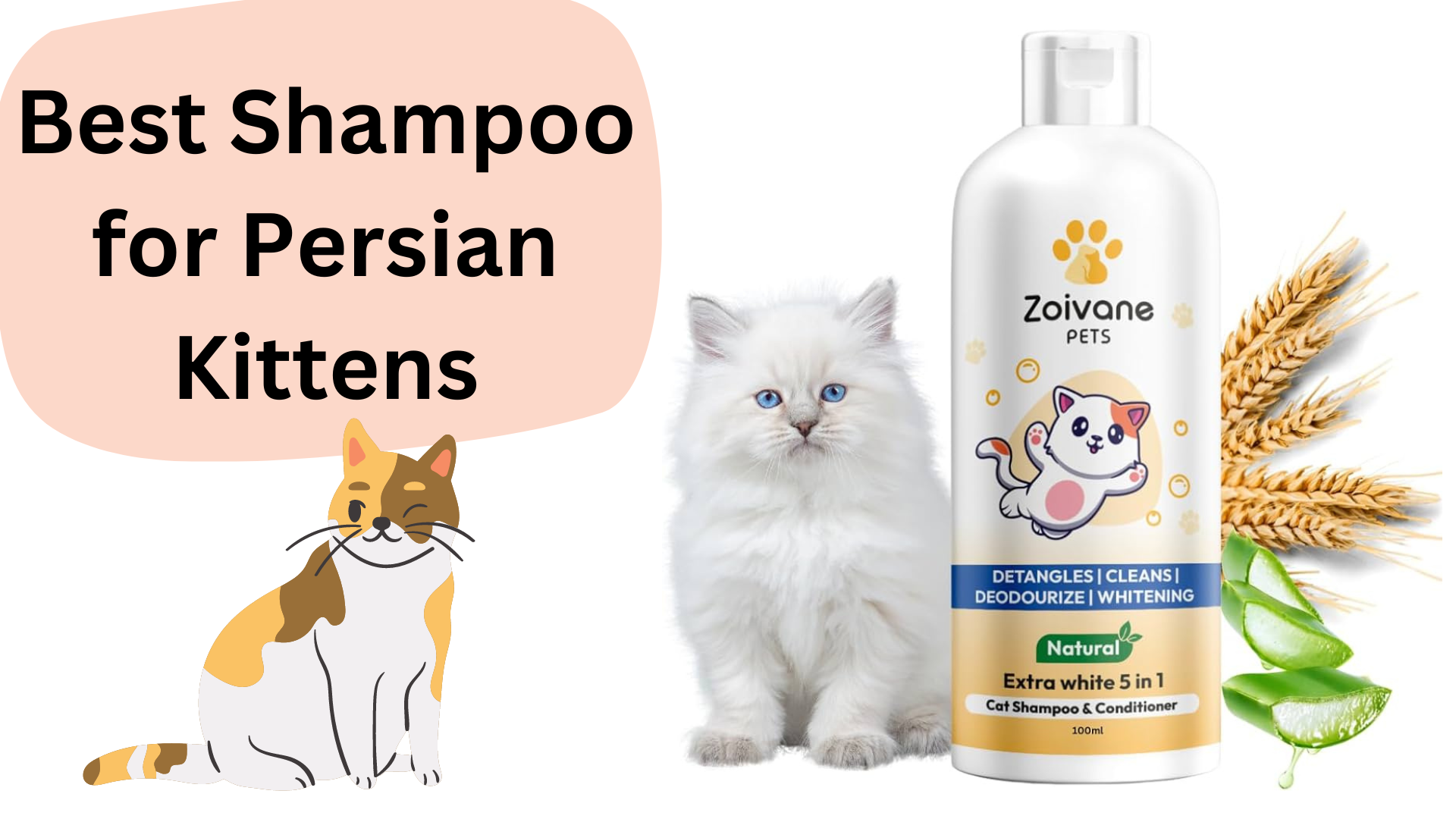 best shampoo for Persian kittens in India 2024