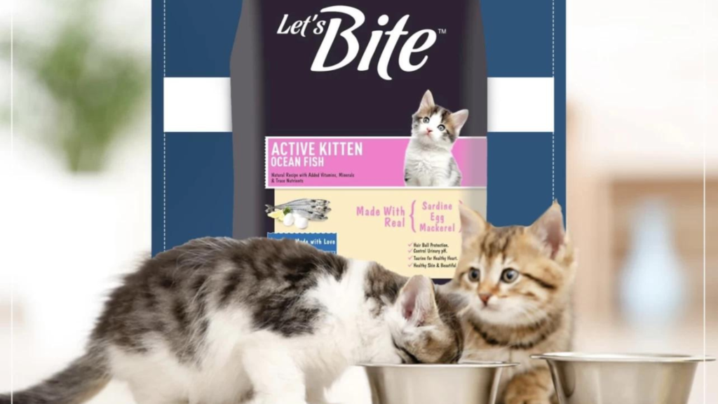 Lets Bite Cat Food Review 2024