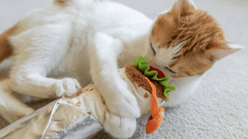Frisco Plush Sushi Cat Toy with Catnip