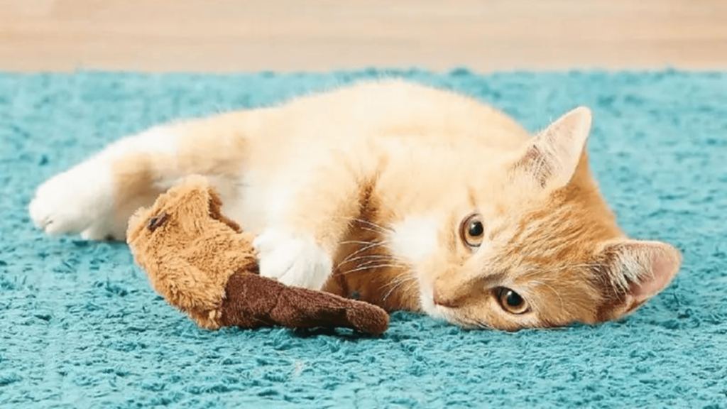 KONG Catnip Beaver Cat Toy