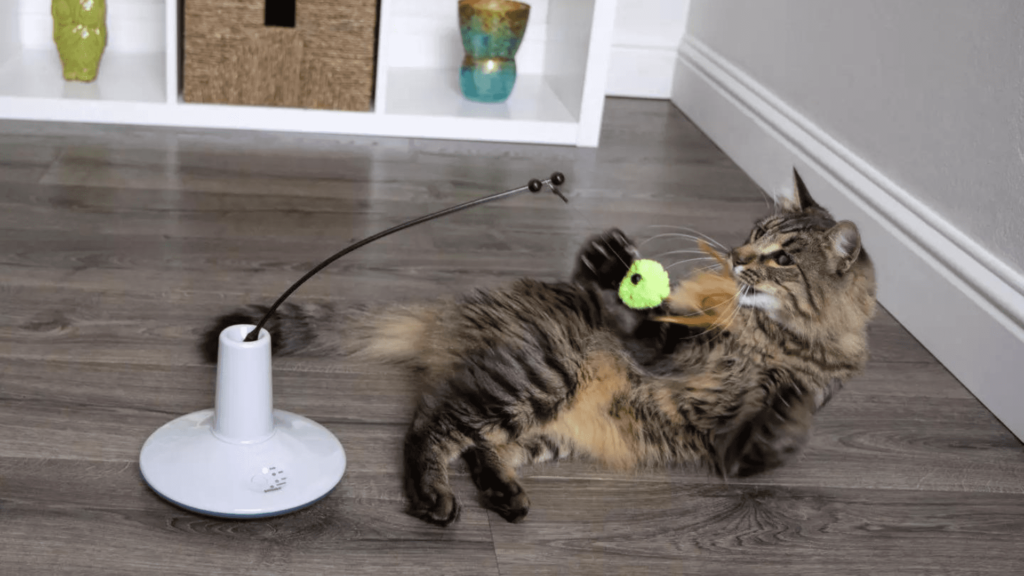 Petlinks Electronic Motion Cat Toy