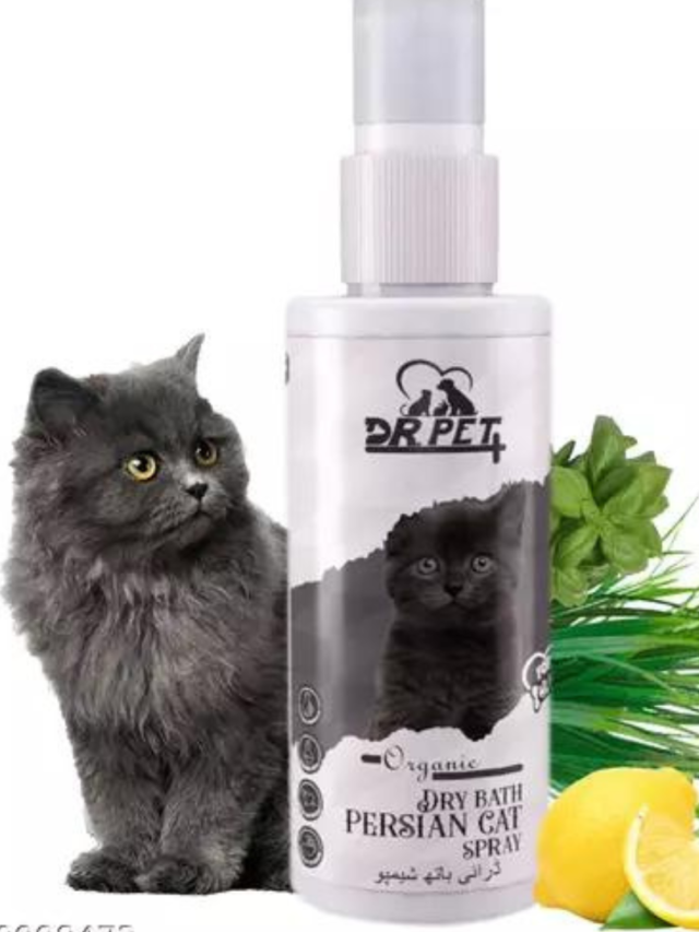 best shampoo for Persian kittens in India 2024