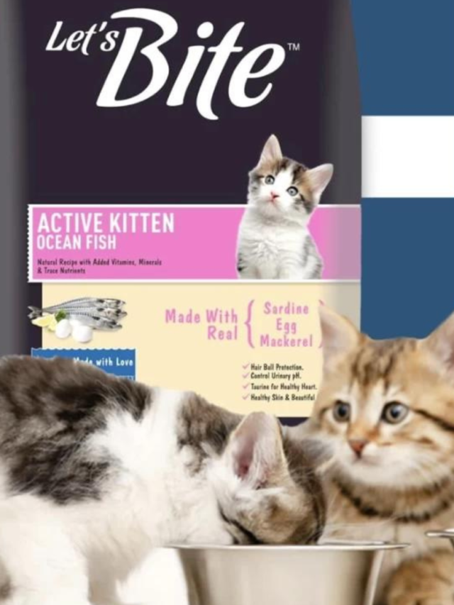 Buy Lets Bite Cat Food in India at Best Price 2024