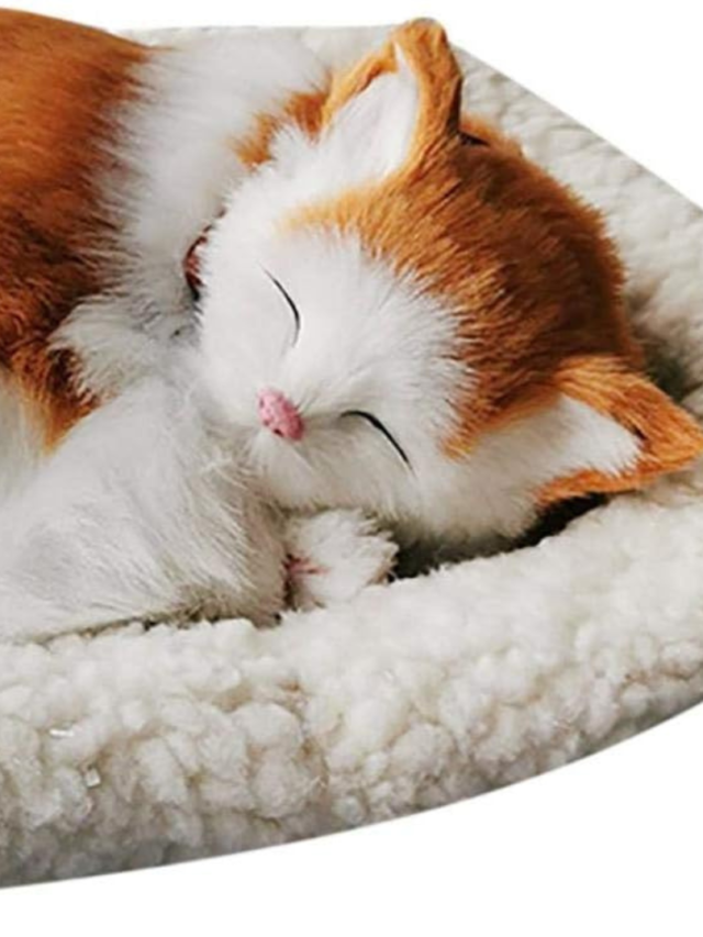 Buy Sleeping Cat Toy Breathing at Online with Best Price