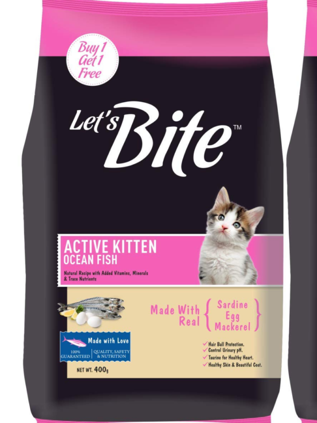 Let’s Bite Active Kitten Ocean Fish Dry Cat Food Maharashtra