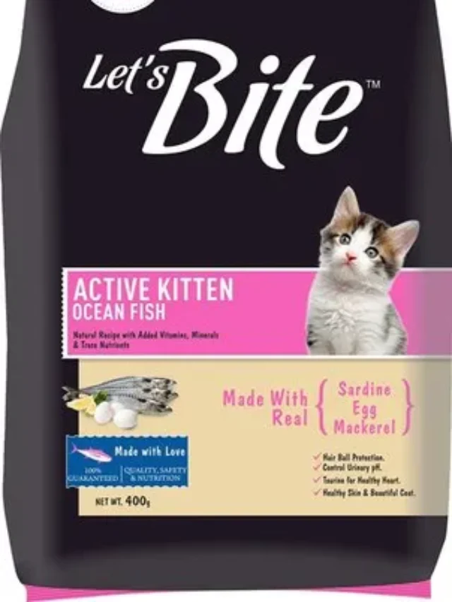 active-kitten-food-500x500