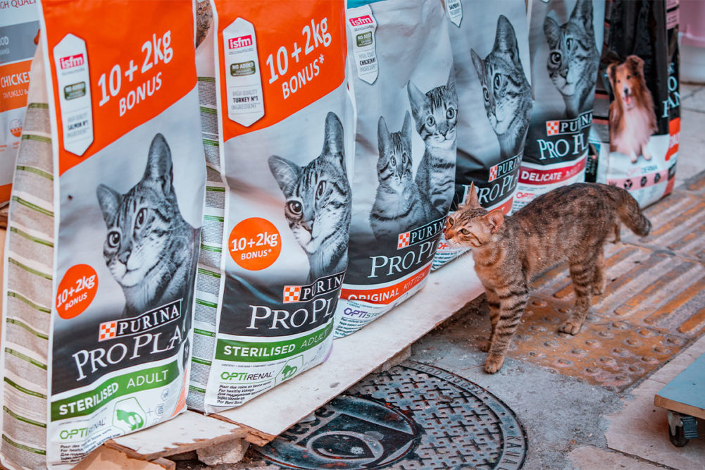 Purina Pro Plan Cat Food Recall 2024