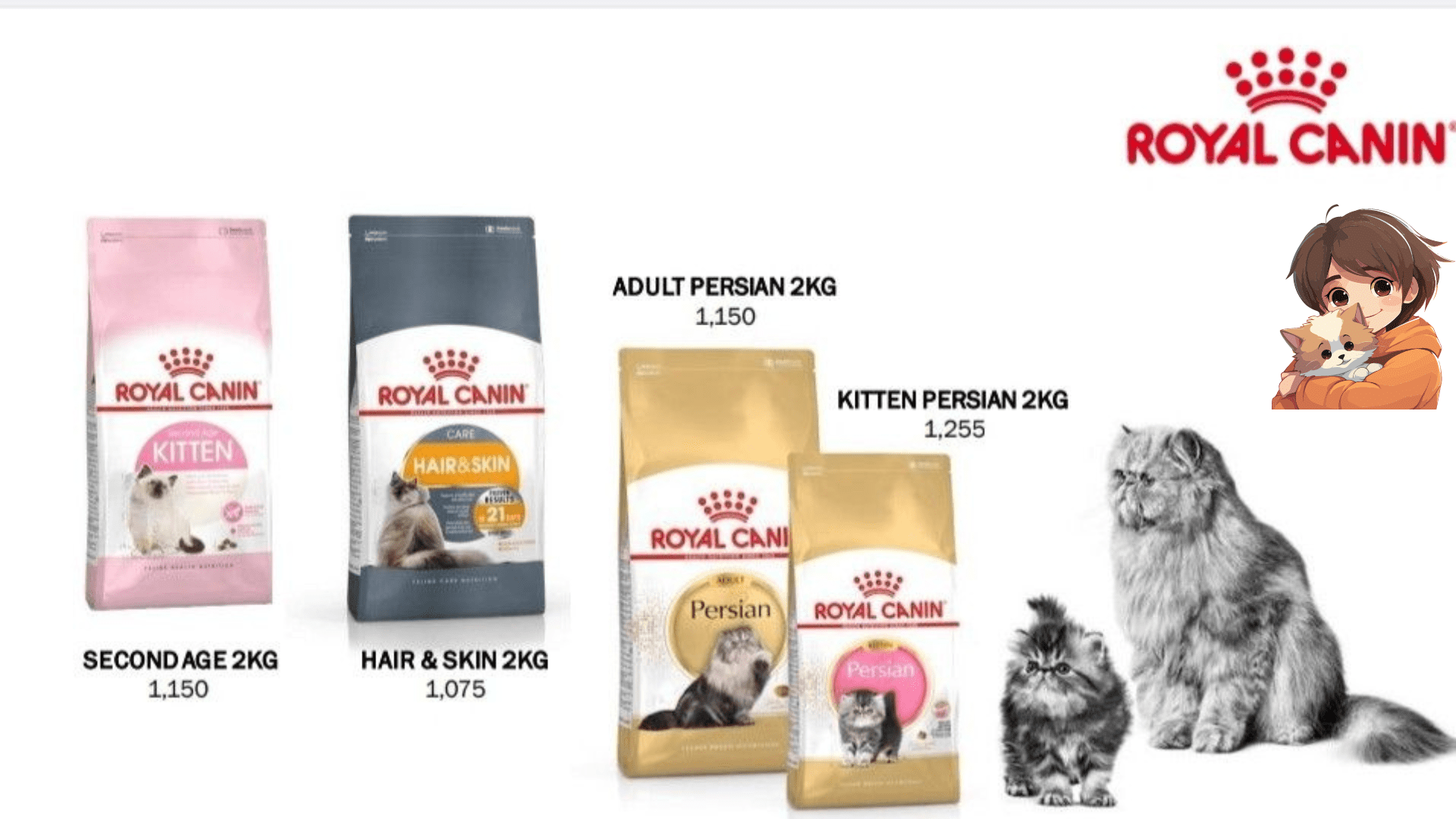 Royal Canin Persian Cat Food Review 2024 royal canin urinary so wet cat food