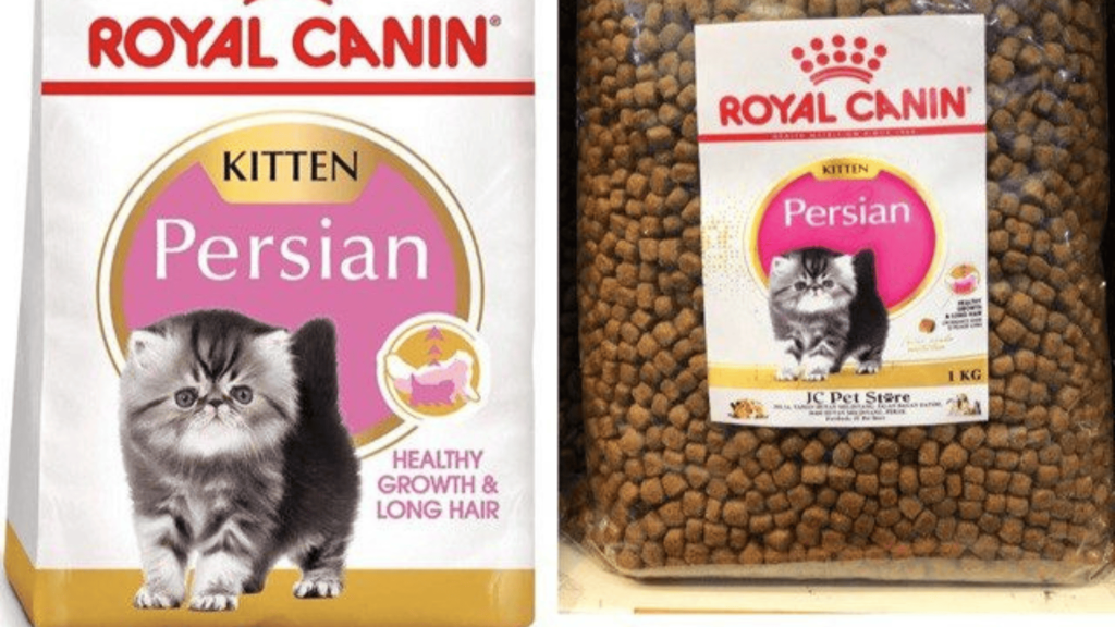 royal_canin_persian_cat food
