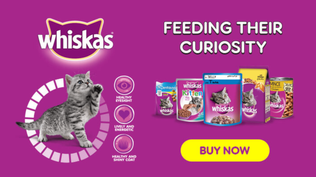 Whiskas Cat Food 2-12 Months Kittens
