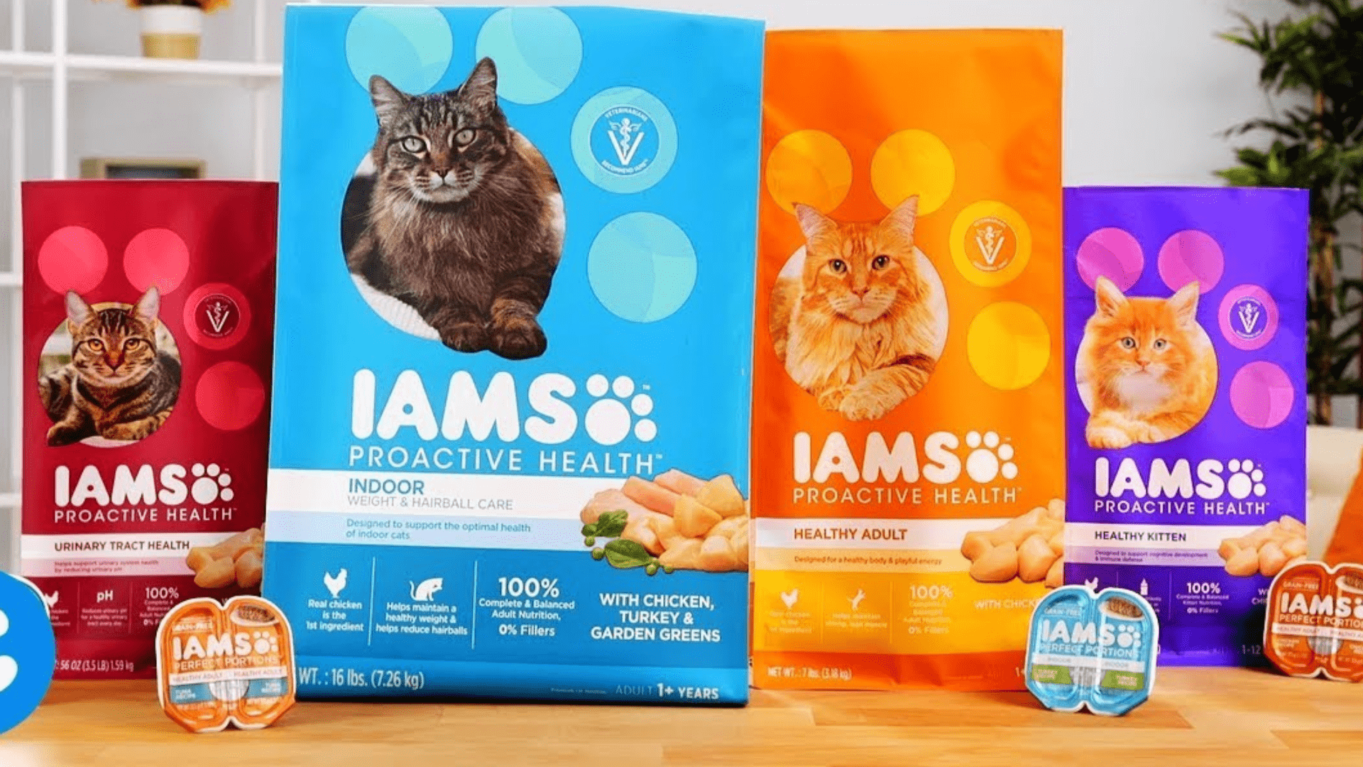 iams cat food review 2024