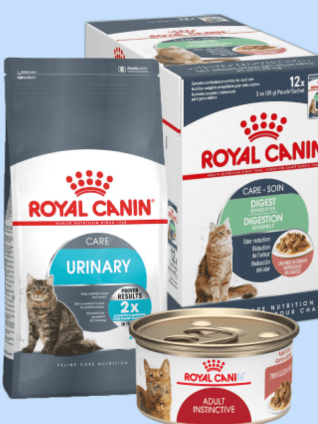 Royal Canin Persian Cat Food Review 2024