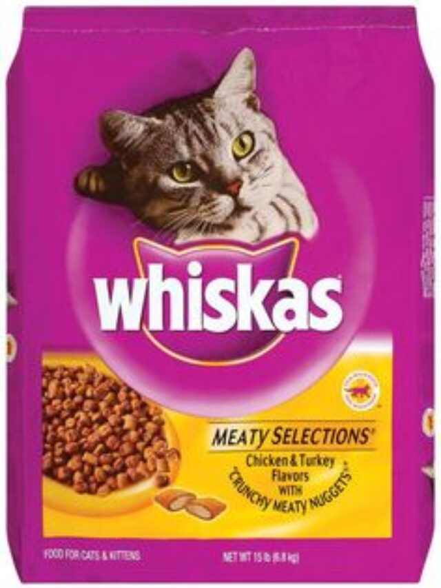 Top 10 Benefit of whiskas cat food for kitten