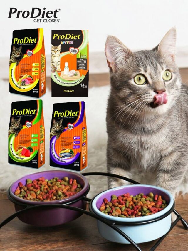 ProDiet Cat Food Ingredients