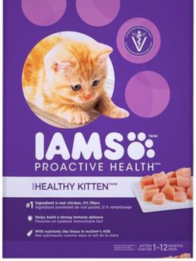Quality Ingredients Used in IAMS Cat Food