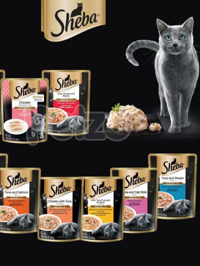 sheba cat food