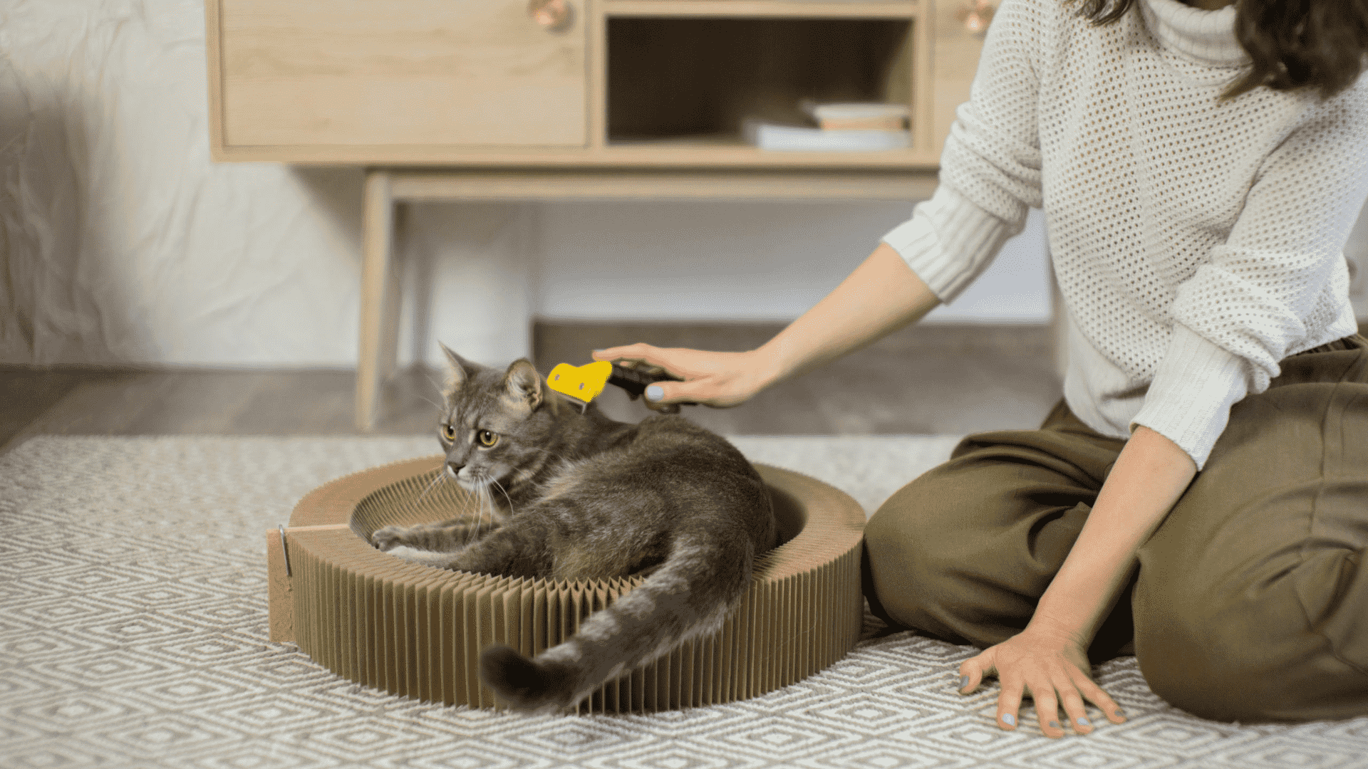 Get Cat Smell Out of House Naturally