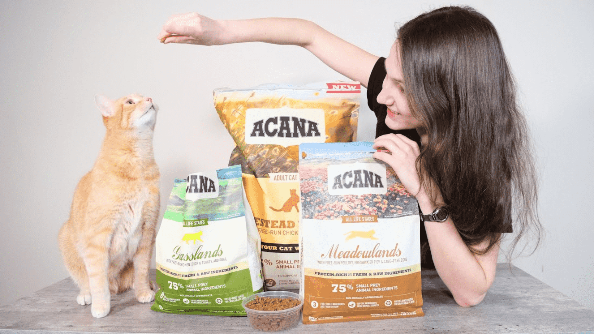 acana cat food review 2024