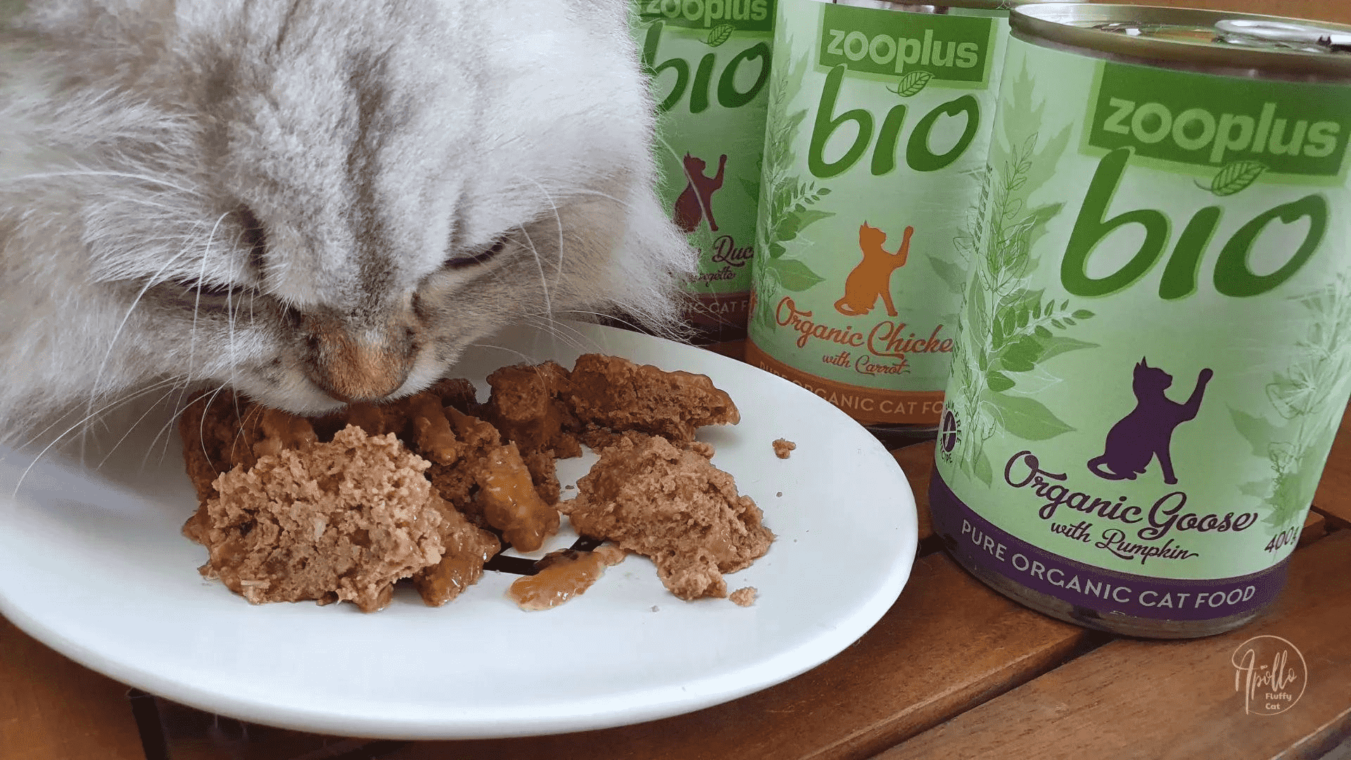 zooplus cat food review 2024