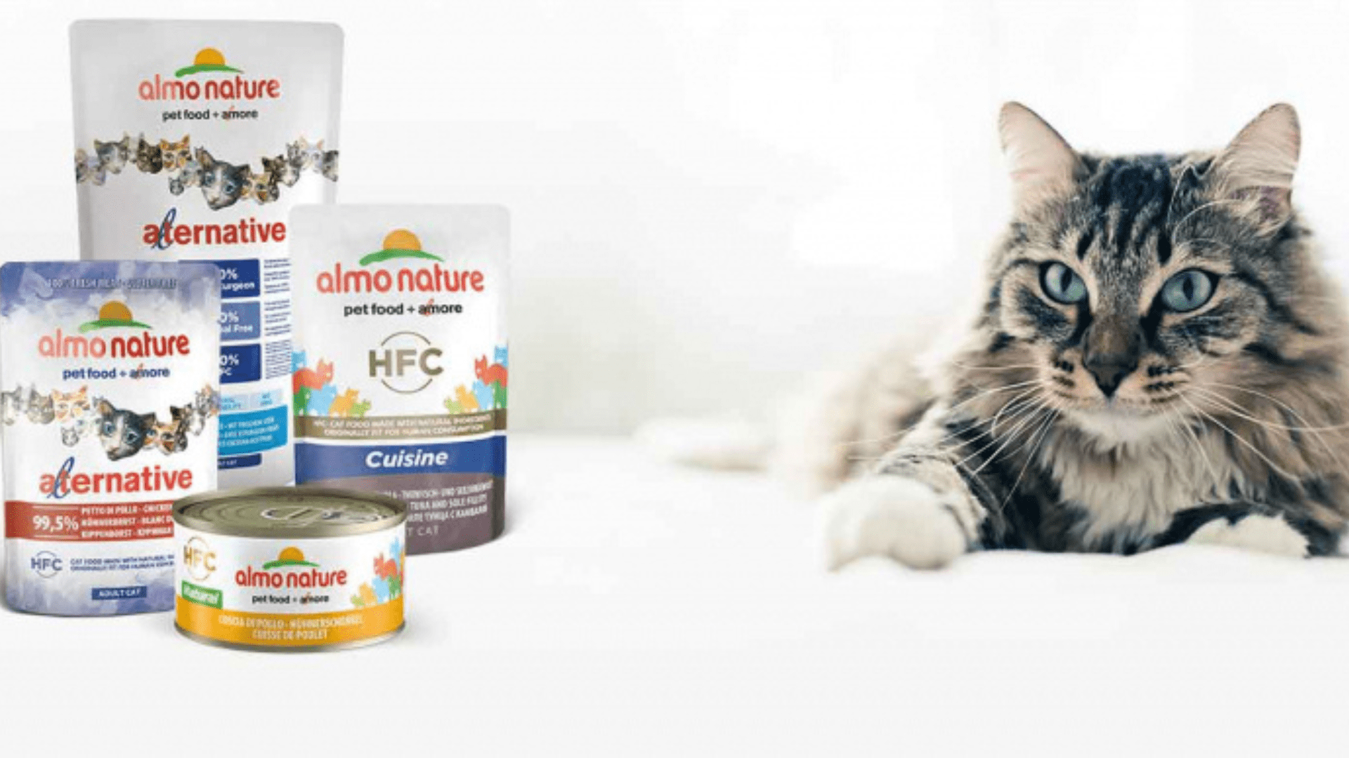 almo nature cat food feeding guide