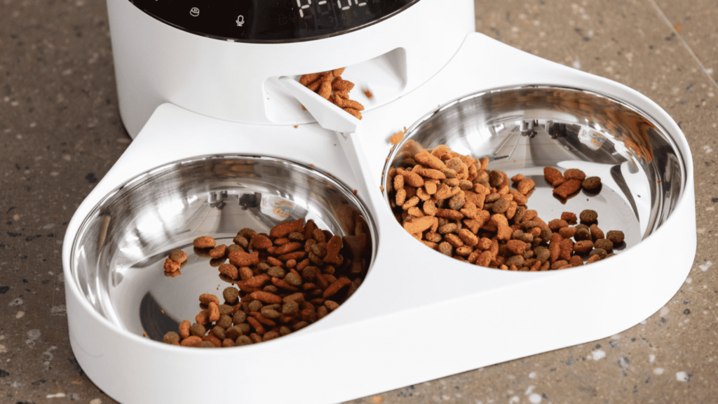 Cat Food Dispensers in the Netherlands