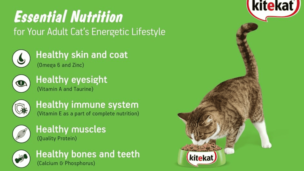 Kitekat Cat Food Review 2024