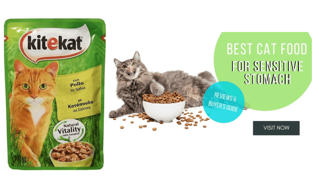 Kitekat Cat Food Review 2024