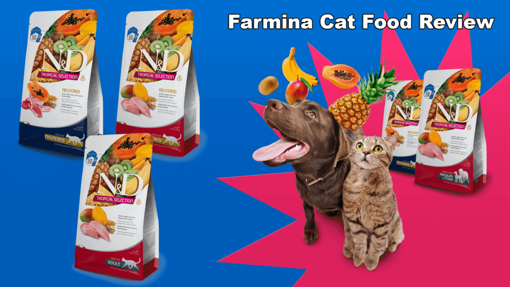 Farmina Cat Food - Matisse Kitten 1.5 kg | Whitepersiancat